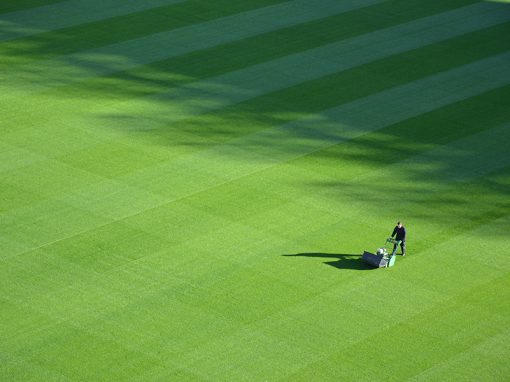 How to keep lawns from dying over the winter months How to keep lawns from dying over the winter months
