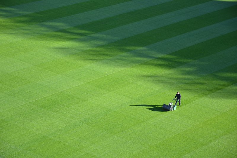 How to keep lawns from dying over the winter months