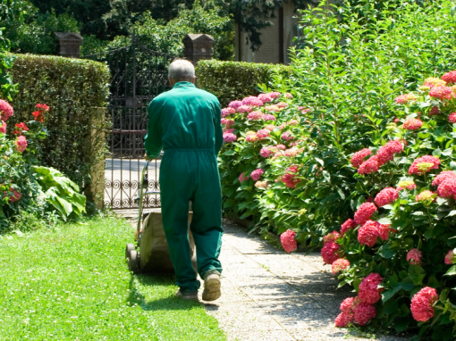 What’s included and not included in my NDIS gardening? What’s included and not included in my NDIS gardening?