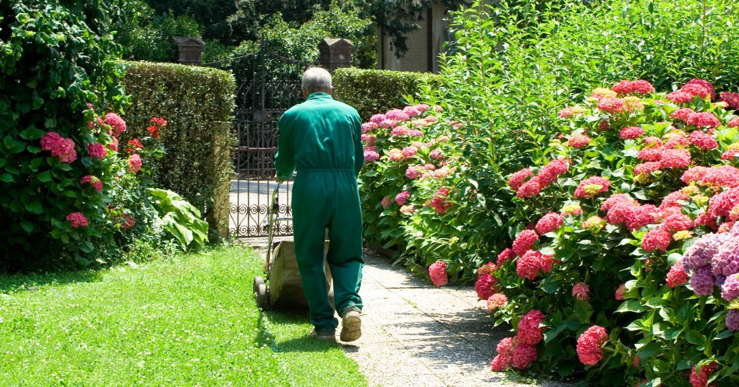 What’s included and not included in my NDIS gardening?