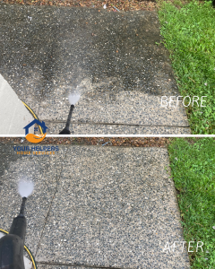 What to look for when choosing an NDIS gardener