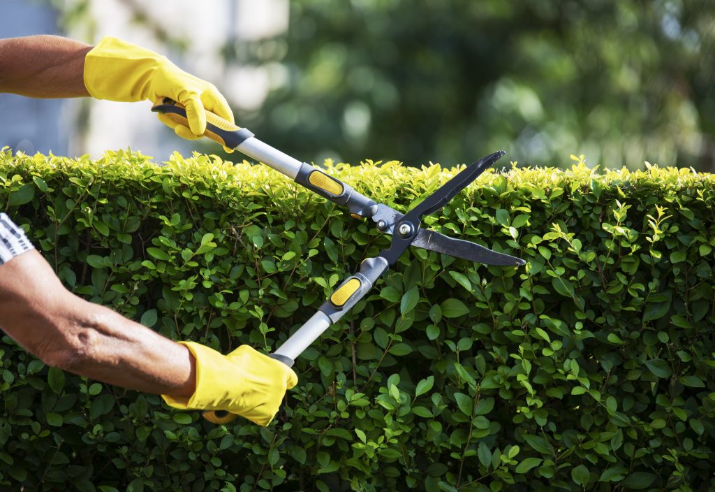 NDIS Gardening Gold Coast