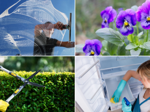 Why spring cleaning is important for your home and garden Why spring cleaning is important for your home and garden