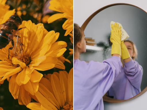Cleaning and Gardening Hacks from the Experts Cleaning and Gardening Hacks from the Experts