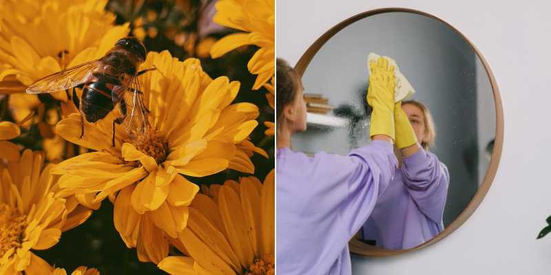Cleaning and Gardening Hacks from the Experts