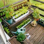 All About Herbs All About Herbs