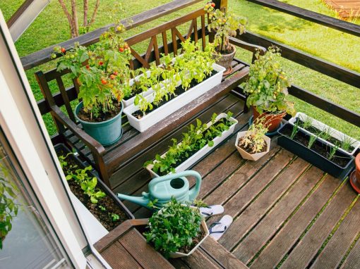 All About Herbs All About Herbs