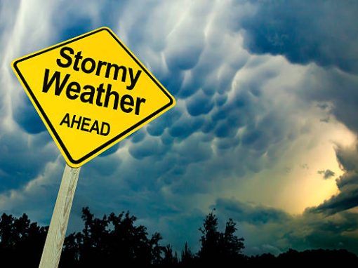 Prepare Your Garden and Home for Weather Extremes in Southeast Queensland Prepare Your Garden and Home for Weather Extremes in Southeast Queensland