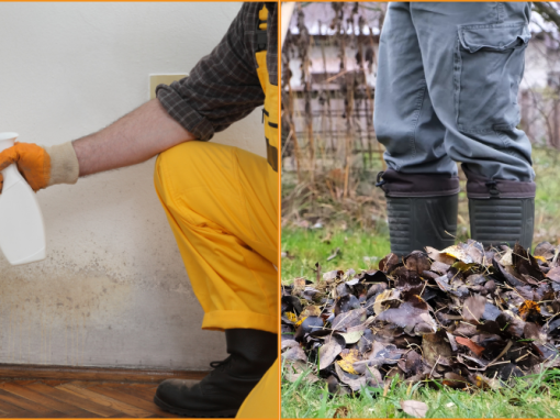 Winter Preparation: Cleaning and Gardening Tips for NDIS Participants Winter Preparation: Cleaning and Gardening Tips for NDIS Participants
